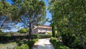 A house with a gravel driveway, surrounded by lush greenery and trees. - Beautiful manor with swimming pool in front of the Provençal Colorado (Rustrel)
