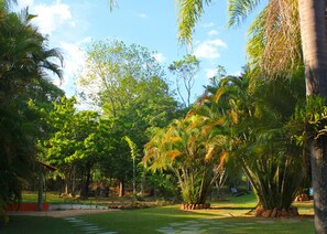Jardín