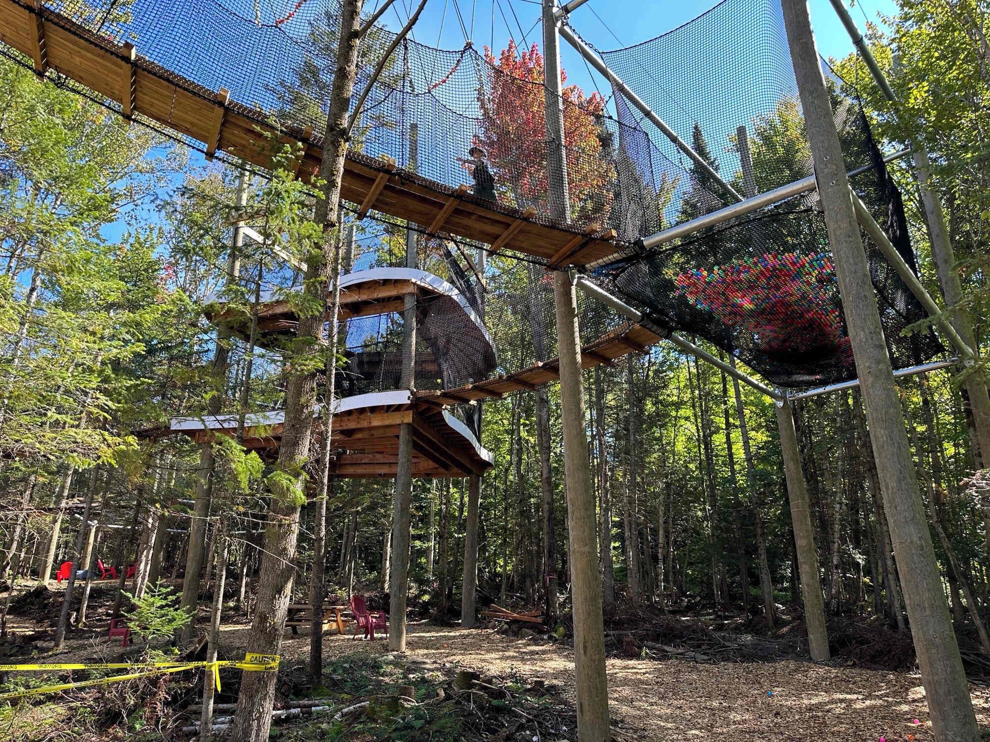 A forested area with a wooden climbing structure and a safety net.