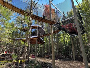 Une zone boisée avec une structure d’escalade en bois et un filet de sécurité.