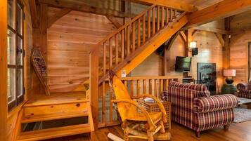 TV, fireplace, video games, books