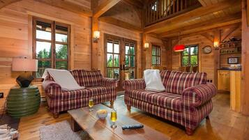 TV, fireplace, video games, books