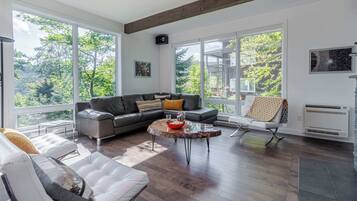 TV, fireplace, DVD player