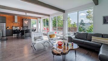 Televisión, chimenea, reproductor de DVD