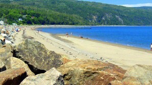 Une plage avec un avant-plan rocheux, une rive sablonneuse et une colline boisée en arrière-plan.