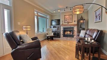 Televisión, chimenea, videojuegos y libros