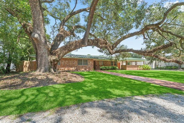 A house with a large tree in front, a brick exterior, and a green lawn. - Cozy+Warm for Rest or Play PingPong+Fire pit+Grill (Baton Rouge)