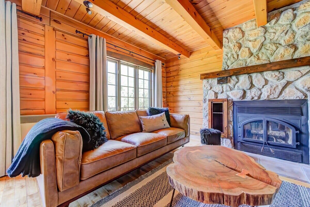 TV, fireplace, video games, books