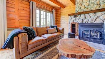 TV, fireplace, video games, books