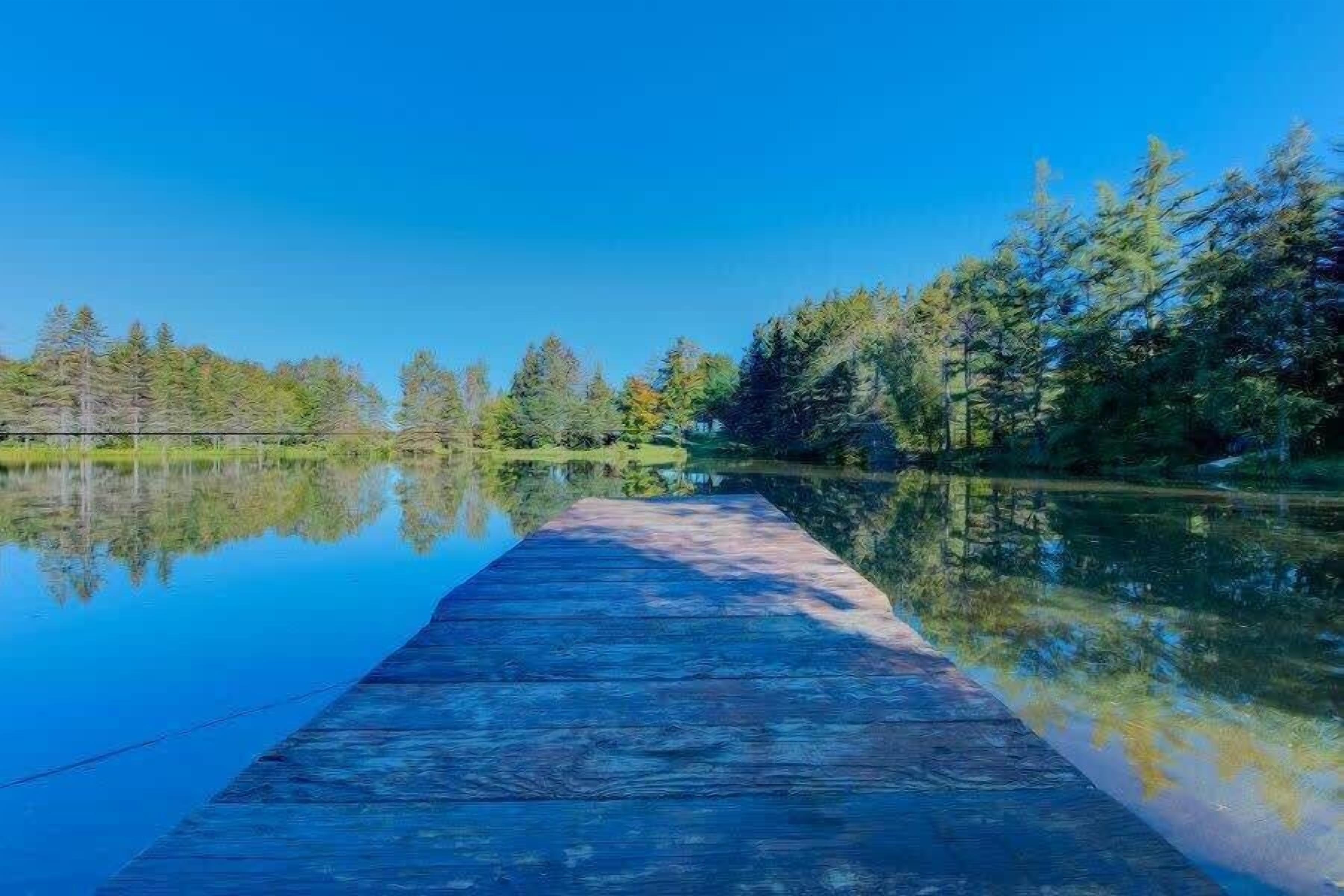 Un muelle de madera se adentra en un lago tranquilo bordeado de árboles.