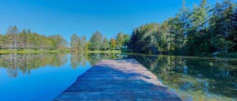 Un muelle de madera se adentra en un lago tranquilo bordeado de árboles.