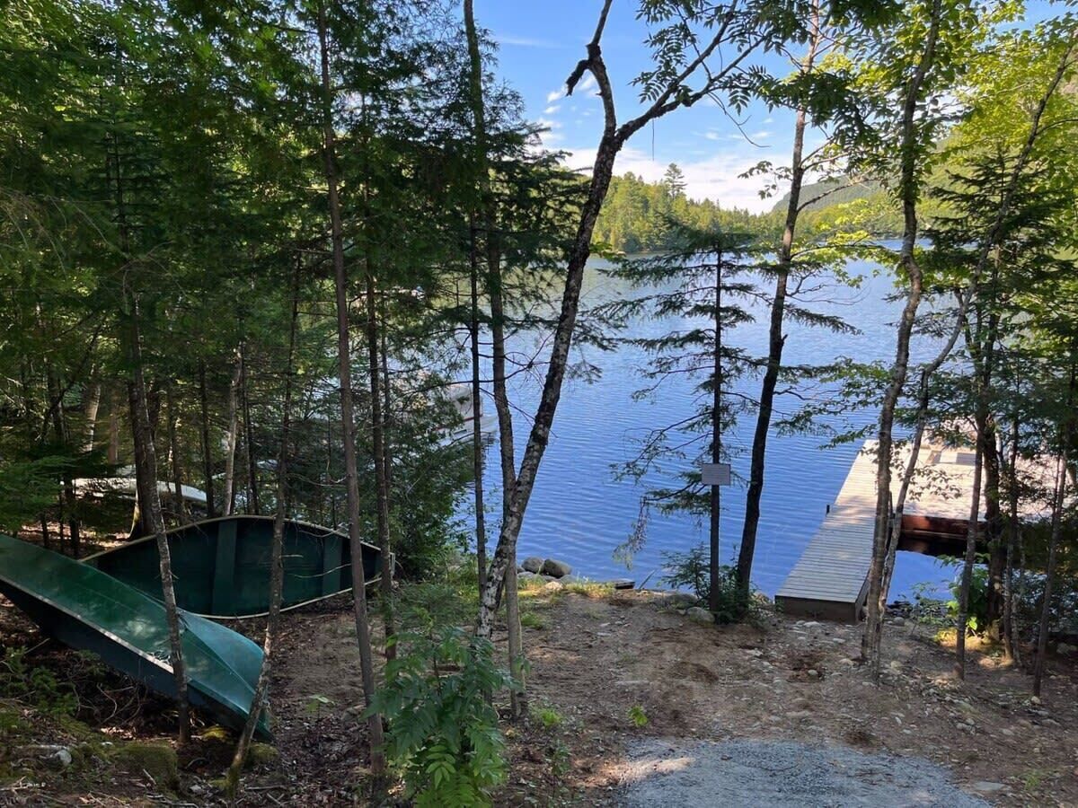 A lakeside cabin with a dock extending into the water, surrounded by dense forest.