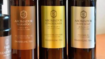 Bathtub, hair dryer, towels, soap