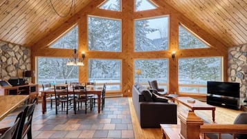 TV, fireplace, books