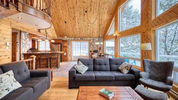 TV, fireplace, books