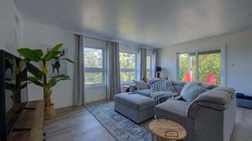 Televisión, chimenea