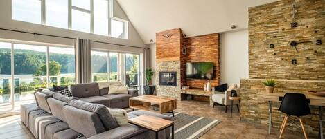 TV, fireplace, books