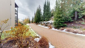 A paved pathway flanked by trees and a building.