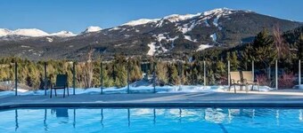 Ironwoods on Blueberry Hill Whistler