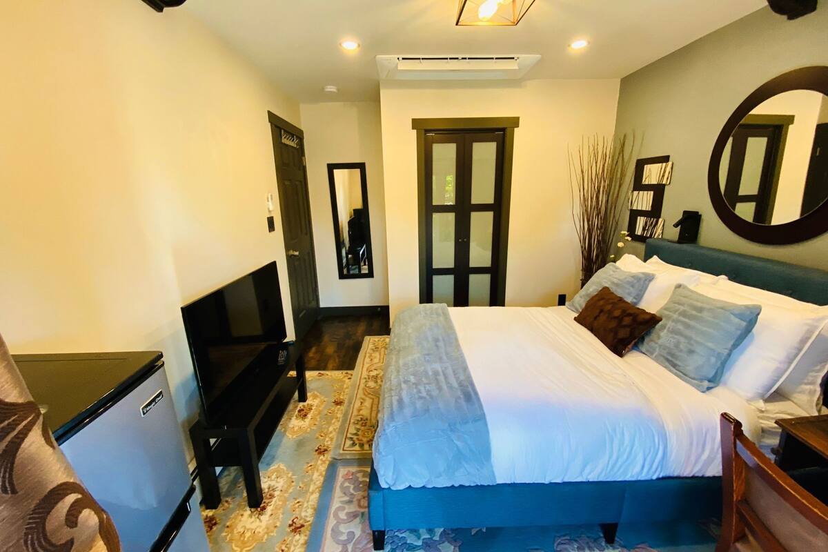 Un dormitorio con cama, televisión, escritorio, espejo y puerta.