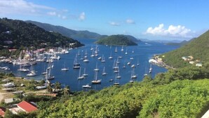 A marina with numerous sailboats docked, surrounded by lush green hills and a clear blue sky. - Villa Rosa (West End)