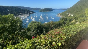 A coastal landscape with a marina filled with boats, surrounded by lush greenery and hills. - Villa Rosa (West End)