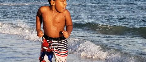Sun-loungers, beach towels