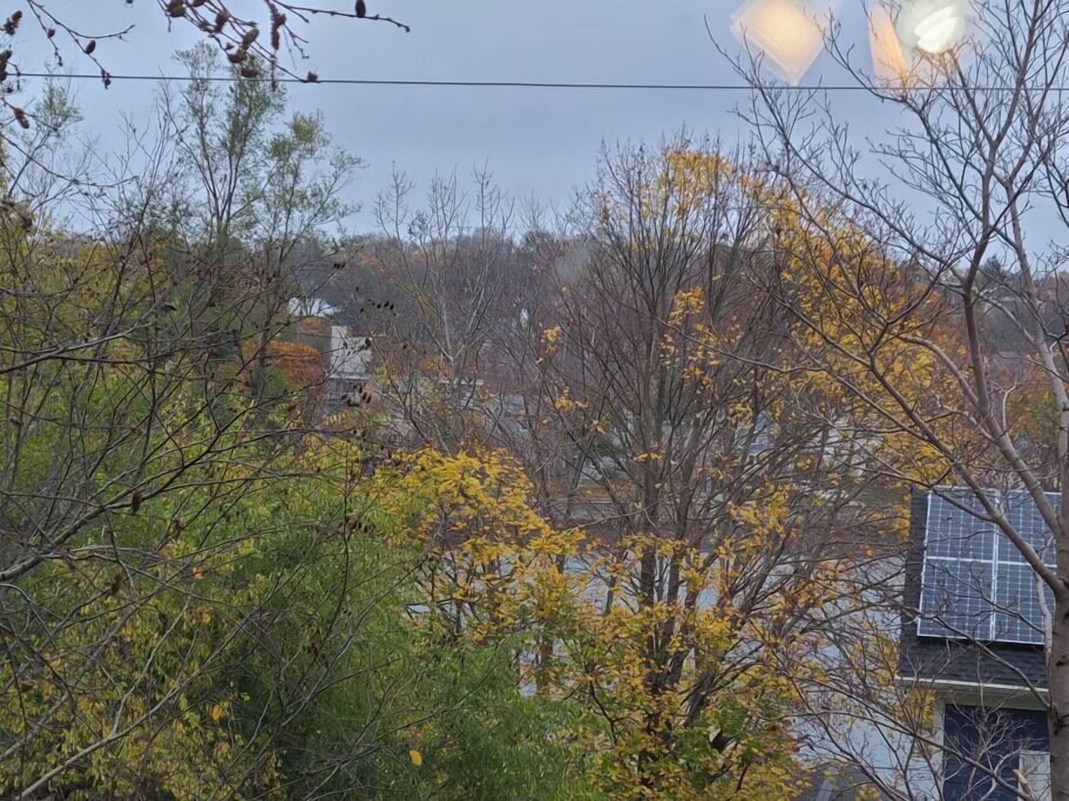 Un quartier résidentiel avec des arbres et une maison équipée de panneaux solaires.