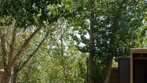 Una hilera de cabañas de madera con un sendero pavimentado que atraviesa un césped bien cuidado.