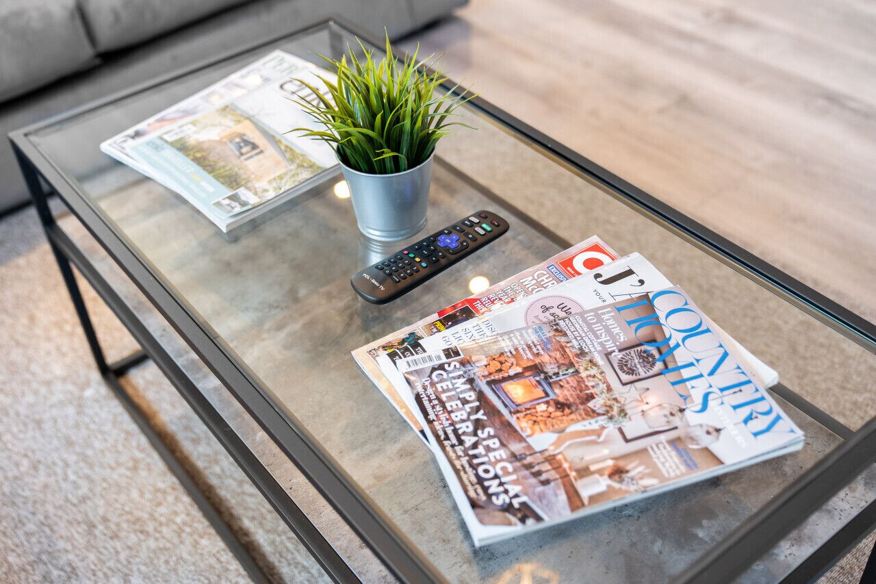 A glass-top coffee table with a remote control, a potted plant, and magazines.