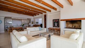 TV, fireplace, books