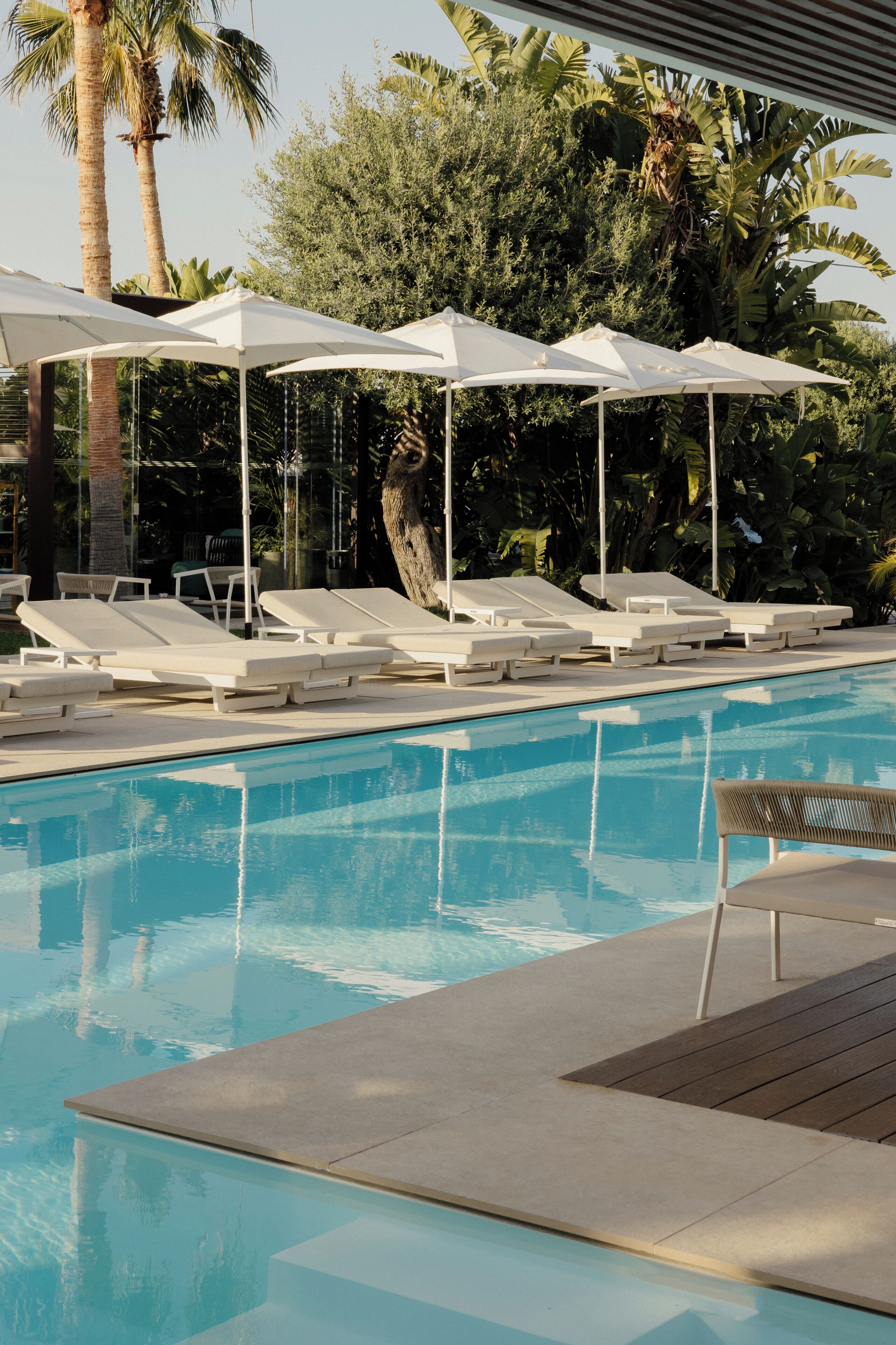 A pool area with lounge chairs and umbrellas, surrounded by palm trees and greenery.