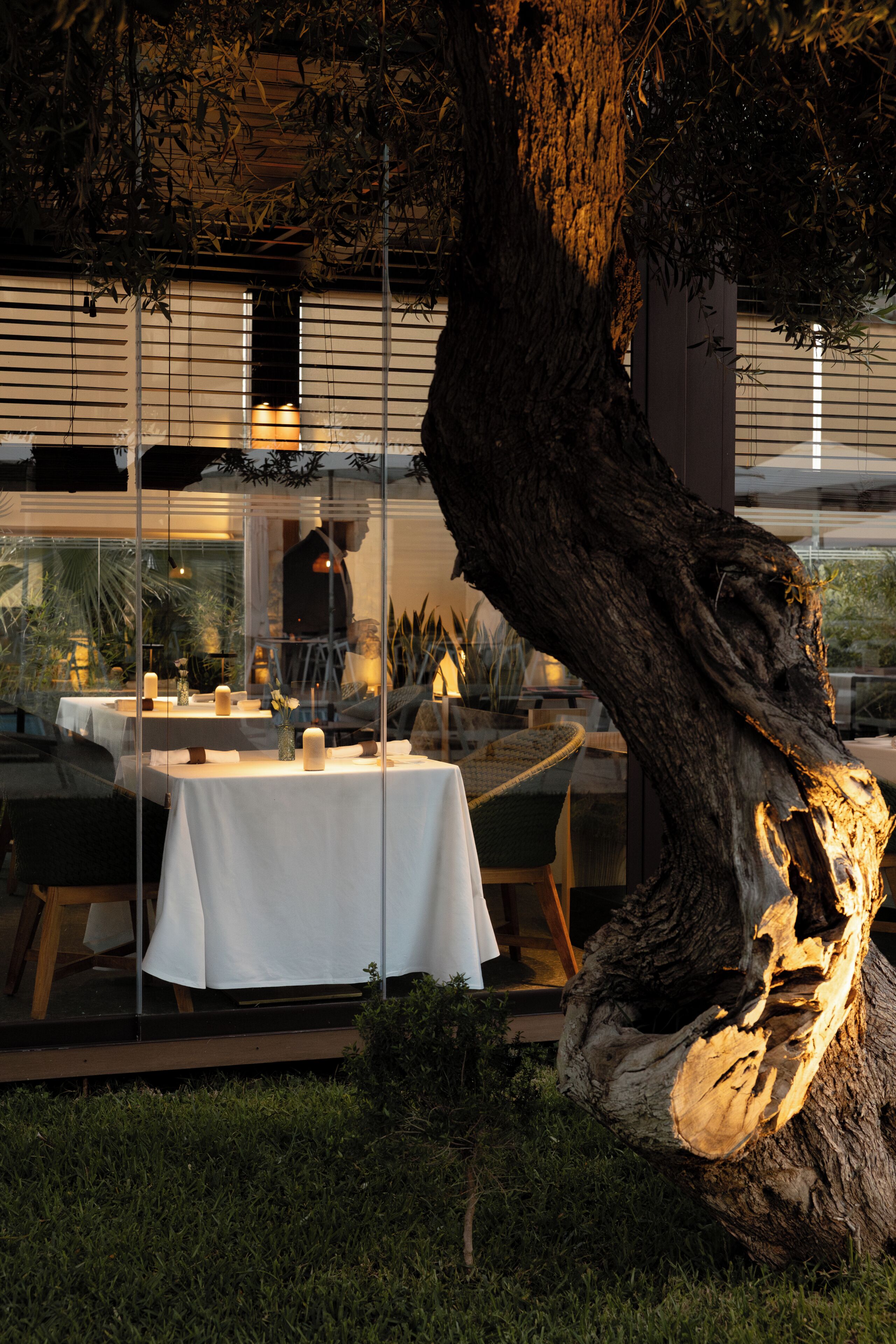 An outdoor dining area with tables and chairs, a large tree, and a glass wall reflecting the interior.