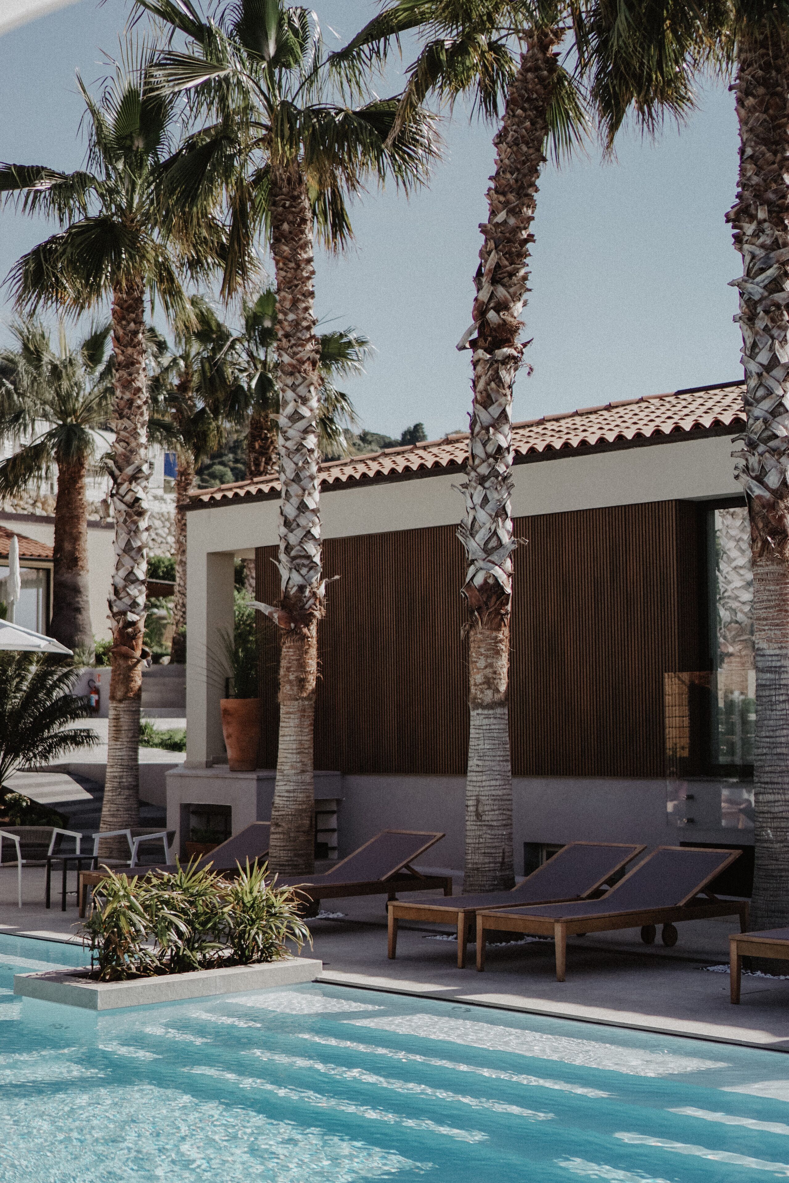 A pool area with lounge chairs and palm trees.