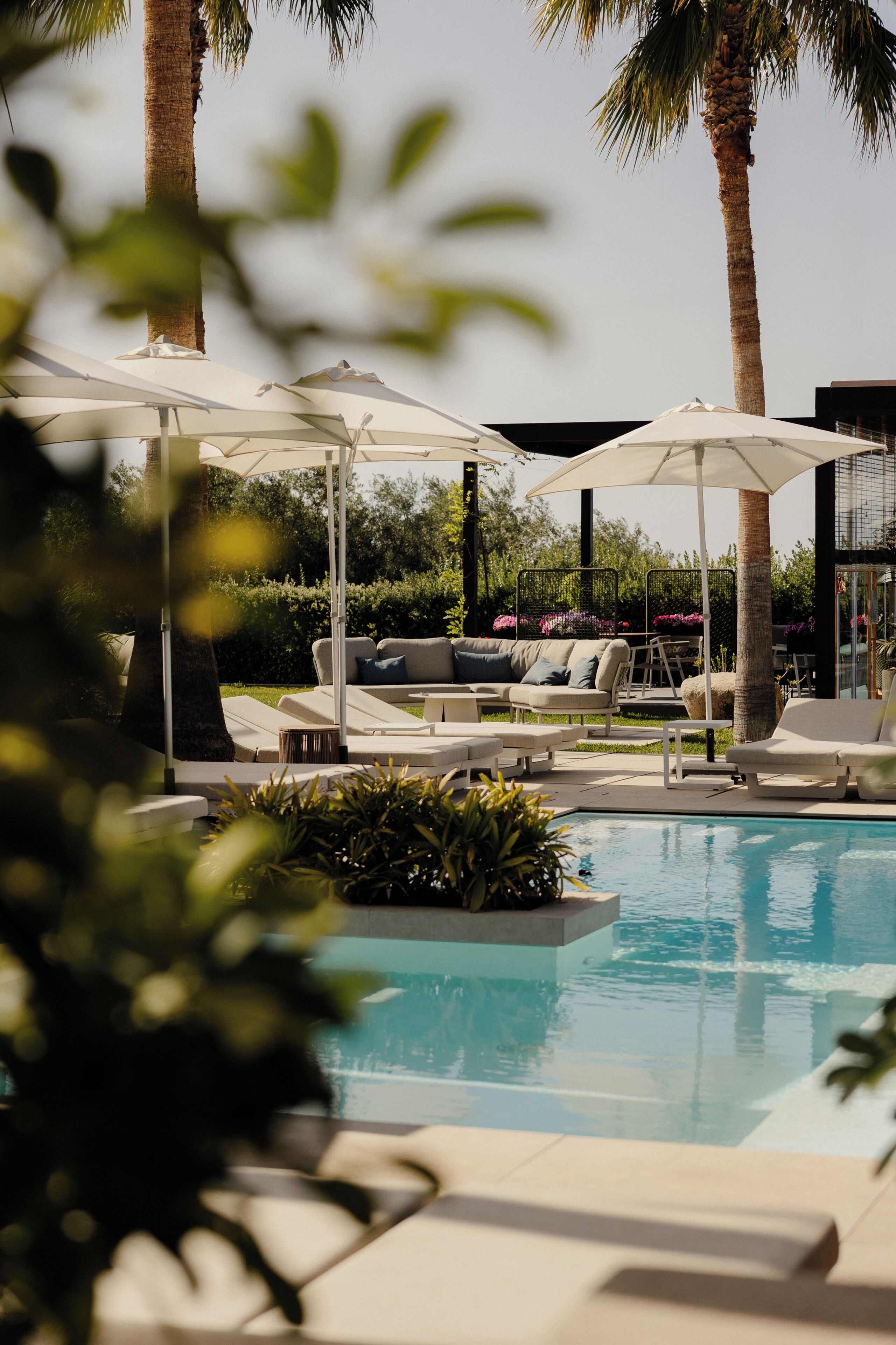Un área de piscina con sillones de descanso y sombrillas, rodeada de palmeras y follaje.