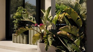 Un bâtiment moderne doté de grandes fenêtres, d’un patio agrémenté de plantes en pot et offrant une vue sur un paysage vallonné.