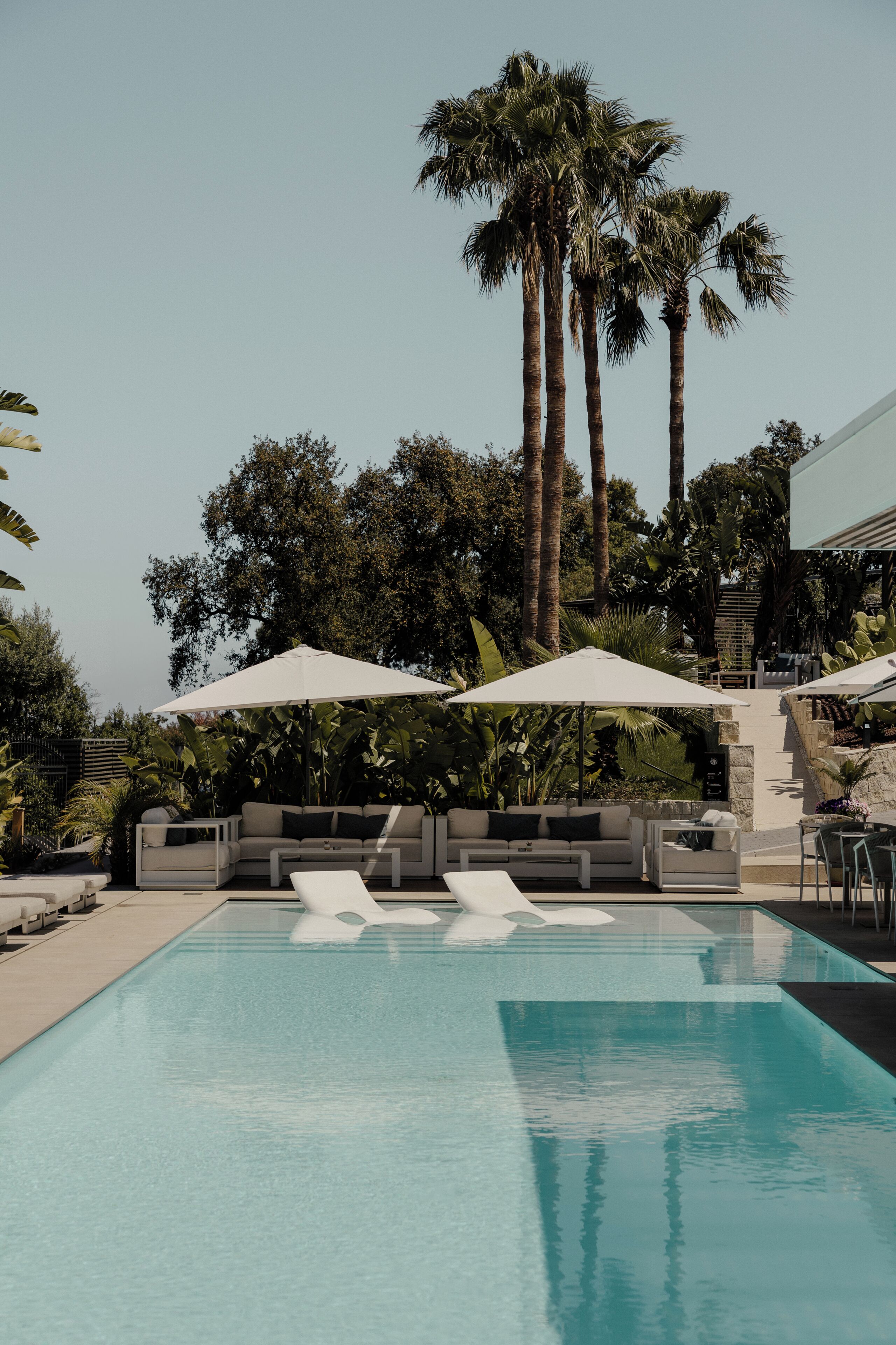 A swimming pool with lounge chairs and umbrellas, surrounded by palm trees and a stone wall.