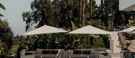 A swimming pool with lounge chairs and umbrellas, surrounded by palm trees and a stone wall.