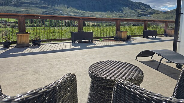 A deck with wicker furniture, potted plants, and a view of a vineyard and mountains.