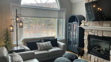 Smart TV, fireplace, DVD player, books