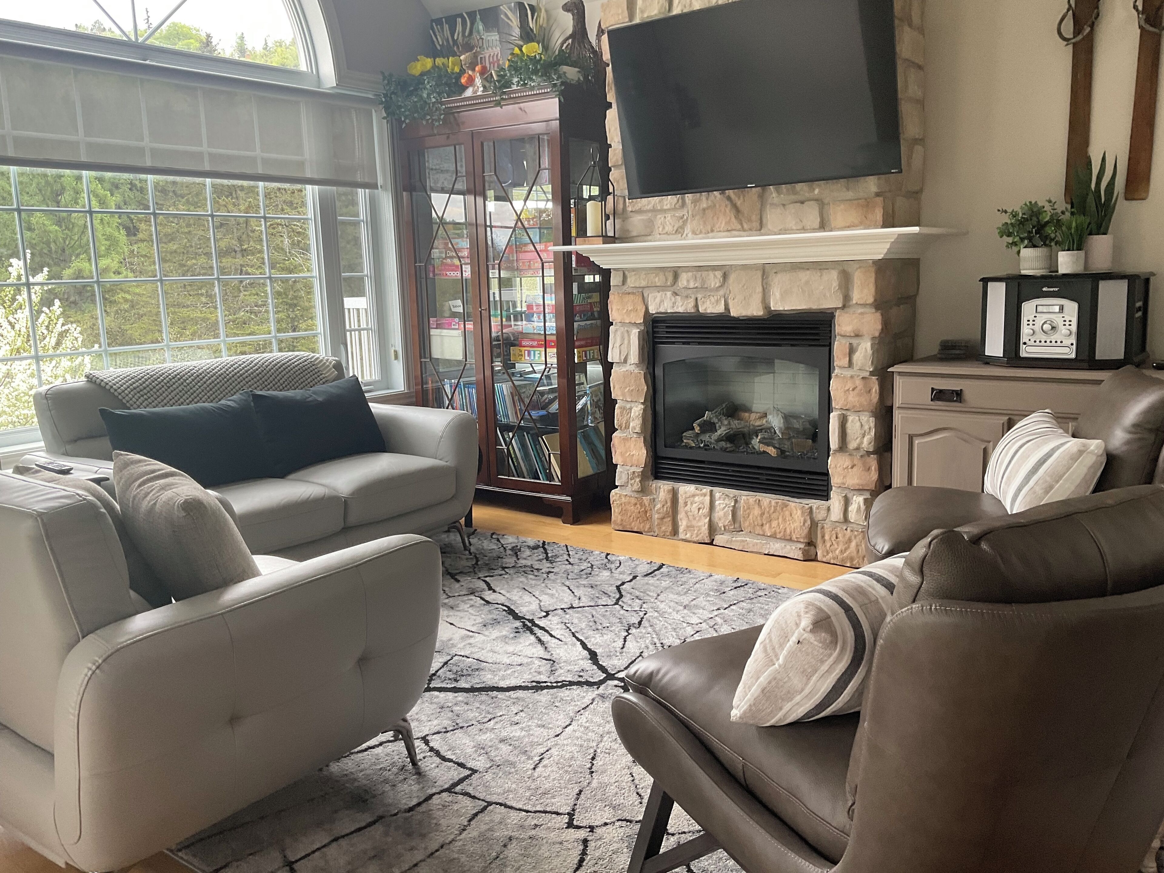 TV connectée, cheminée, lecteur de DVD, livres