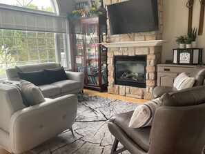 Smart TV, chimenea, reproductor de DVD y libros 