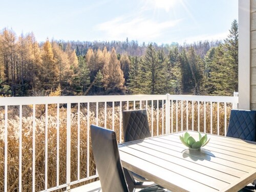 Chic modern and luxe Ski In/Ski Out Four Season Vacation Property