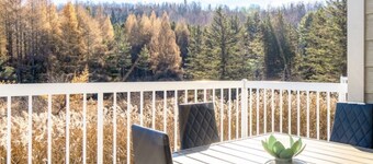 Chic modern and luxe Ski In/Ski Out Four Season Vacation Property