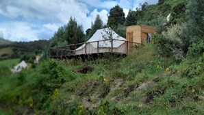 Een rustieke houten cabin met een wit dak, omgeven door weelderig groen en heuvels.