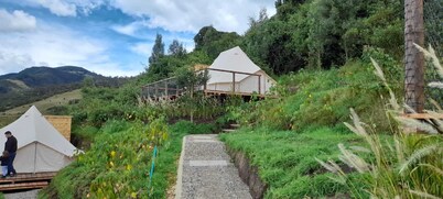 Green Glamping Luxury Resort