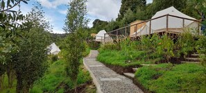 A pathway leading to a series of rustic-style cabins surrounded by lush greenery.