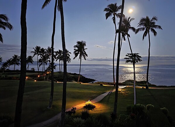 A nighttime view of a golf course with palm trees and a beach in the background.