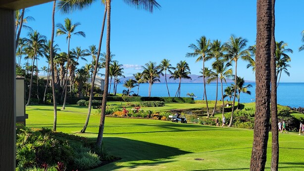 Un parcours de golf offrant une vue sur l’océan et les palmiers.
