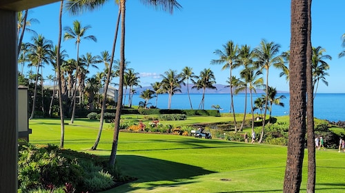 Elua 1310 Oceanfront - Family Managed-Full Condo Remodel Completed 9/25!